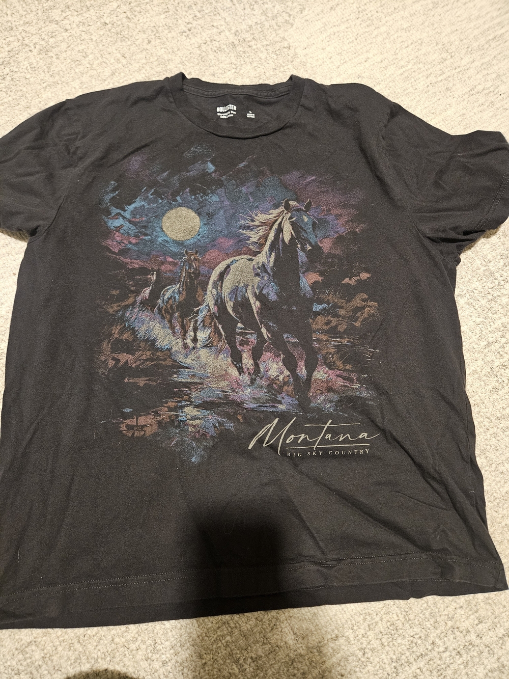 Hollister Montana Graphic T